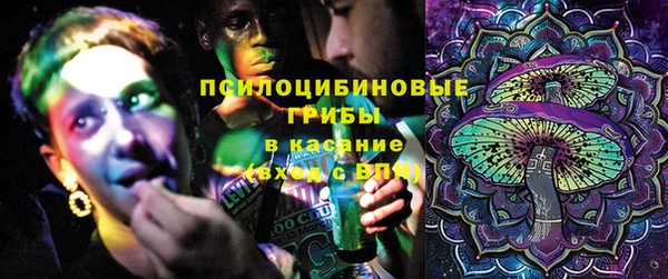 ПСИЛОЦИБИНОВЫЕ ГРИБЫ Абаза