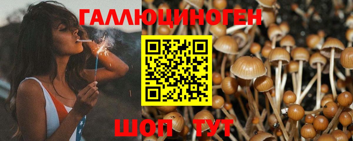 Псилоцибиновые грибы Magic Shrooms Дубна