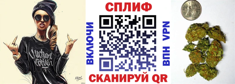 Каннабис конопля  Дубна 
